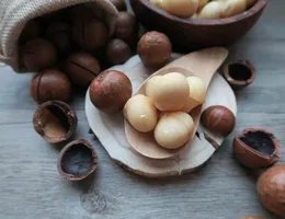 夏威夷豆 Macadamia Nut — 台灣進口批發供應