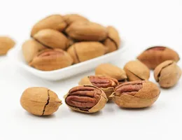 核桃 Walnut — 台灣堅果百科