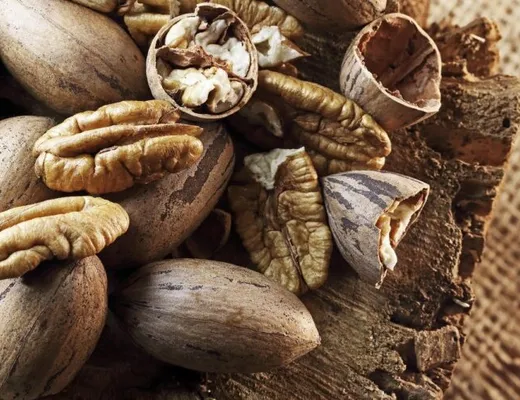 胡桃 Pecan — 台灣堅果百科