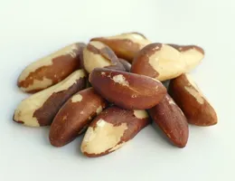 巴西豆 Brazil Nut — 台灣堅果百科