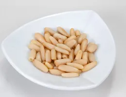 南瓜子 Pumpkin Seed — 台灣堅果百科