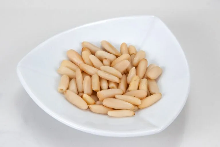 松子完整百科 — 從品種到應用